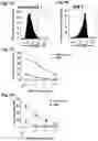 Fig. 10 - Chimeric antigen receptors targeting B-cell maturation antigen