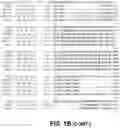 Fig. 04 - FAD3 performance loci and corresponding target site specific binding proteins capable of inducing targeted breaks