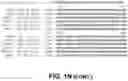 Fig. 23 - FAD3 performance loci and corresponding target site specific binding proteins capable of inducing targeted breaks