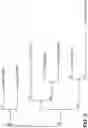 Fig. 32 - FAD3 performance loci and corresponding target site specific binding proteins capable of inducing targeted breaks