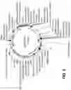Fig. 35 - FAD3 performance loci and corresponding target site specific binding proteins capable of inducing targeted breaks
