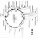 Fig. 42 - FAD3 performance loci and corresponding target site specific binding proteins capable of inducing targeted breaks