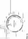 Fig. 43 - FAD3 performance loci and corresponding target site specific binding proteins capable of inducing targeted breaks