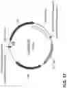 Fig. 47 - FAD3 performance loci and corresponding target site specific binding proteins capable of inducing targeted breaks