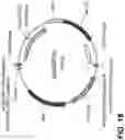 Fig. 48 - FAD3 performance loci and corresponding target site specific binding proteins capable of inducing targeted breaks