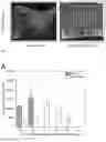 Fig. 05 - METHOD FOR AUTOMATED TRANSFORMATION OF A PLANT CELL PACK
