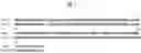 Fig. 02 - Methods for identifying and/or selecting wheat plants having a mutation in an endogenous Ms1 gene