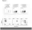 Fig. 11 - THERAPEUTIC CELLS