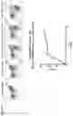 Fig. 16 - THERAPEUTIC CELLS