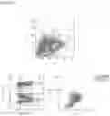 Fig. 32 - THERAPEUTIC CELLS
