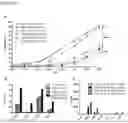 Fig. 41 - THERAPEUTIC CELLS