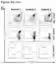 Fig. 44 - THERAPEUTIC CELLS