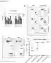 Fig. 45 - THERAPEUTIC CELLS