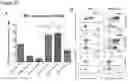 Fig. 46 - THERAPEUTIC CELLS