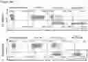 Fig. 50 - THERAPEUTIC CELLS
