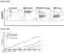 Fig. 52 - THERAPEUTIC CELLS