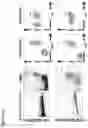 Fig. 55 - THERAPEUTIC CELLS