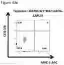 Fig. 61 - THERAPEUTIC CELLS