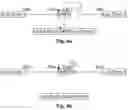 Fig. 06 - Regulation of gene expression by aptamer-mediated modulation of alternative splicing