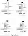 Fig. 10 - Regulation of gene expression by aptamer-mediated modulation of alternative splicing