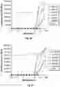 Fig. 15 - Regulation of gene expression by aptamer-mediated modulation of alternative splicing
