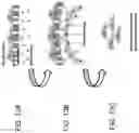 Fig. 21 - Devices and methods for mitochondria replacement and for generating cellular therapeutics