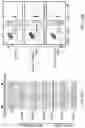 Fig. 43 - Devices and methods for mitochondria replacement and for generating cellular therapeutics