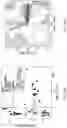 Fig. 48 - Devices and methods for mitochondria replacement and for generating cellular therapeutics