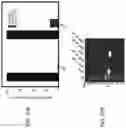 Fig. 57 - Devices and methods for mitochondria replacement and for generating cellular therapeutics
