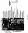 Fig. 61 - Devices and methods for mitochondria replacement and for generating cellular therapeutics