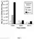 Fig. 05 - METHODS AND STRAIN
