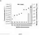 Fig. 07 - METHODS AND STRAIN