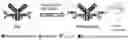 Fig. 06 - Processes for preparing glycoprotein-drug conjugates