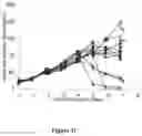 Fig. 04 - Methods for increasing mannose content of recombinant proteins