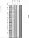 Fig. 02 - Biosensor for multi-analyte characterization