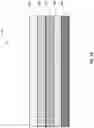 Fig. 03 - Biosensor for multi-analyte characterization