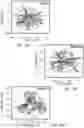 Fig. 21 - Methods and materials for assessing and treating arthritis