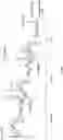 Fig. 02 - METABOLIC LABELING OF BACTERIAL TEICHOIC ACIDS CELL WALL
