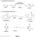 Fig. 03 - METABOLIC LABELING OF BACTERIAL TEICHOIC ACIDS CELL WALL