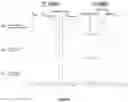 Fig. 08 - METABOLIC LABELING OF BACTERIAL TEICHOIC ACIDS CELL WALL