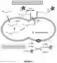 Fig. 13 - METABOLIC LABELING OF BACTERIAL TEICHOIC ACIDS CELL WALL