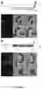 Fig. 16 - METABOLIC LABELING OF BACTERIAL TEICHOIC ACIDS CELL WALL