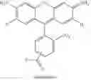 Fig. 26 - METABOLIC LABELING OF BACTERIAL TEICHOIC ACIDS CELL WALL