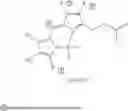 Fig. 28 - METABOLIC LABELING OF BACTERIAL TEICHOIC ACIDS CELL WALL