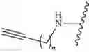 Fig. 32 - METABOLIC LABELING OF BACTERIAL TEICHOIC ACIDS CELL WALL