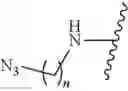 Fig. 33 - METABOLIC LABELING OF BACTERIAL TEICHOIC ACIDS CELL WALL