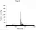 Fig. 04 - Probe for measuring activity of Caspase-1 and composition for diagnosis of inflammatory diseases containing same