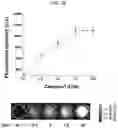 Fig. 07 - Probe for measuring activity of Caspase-1 and composition for diagnosis of inflammatory diseases containing same