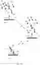 Fig. 13 - Systems and methods for identifying and distinguishing genetic samples