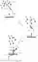 Fig. 14 - Systems and methods for identifying and distinguishing genetic samples